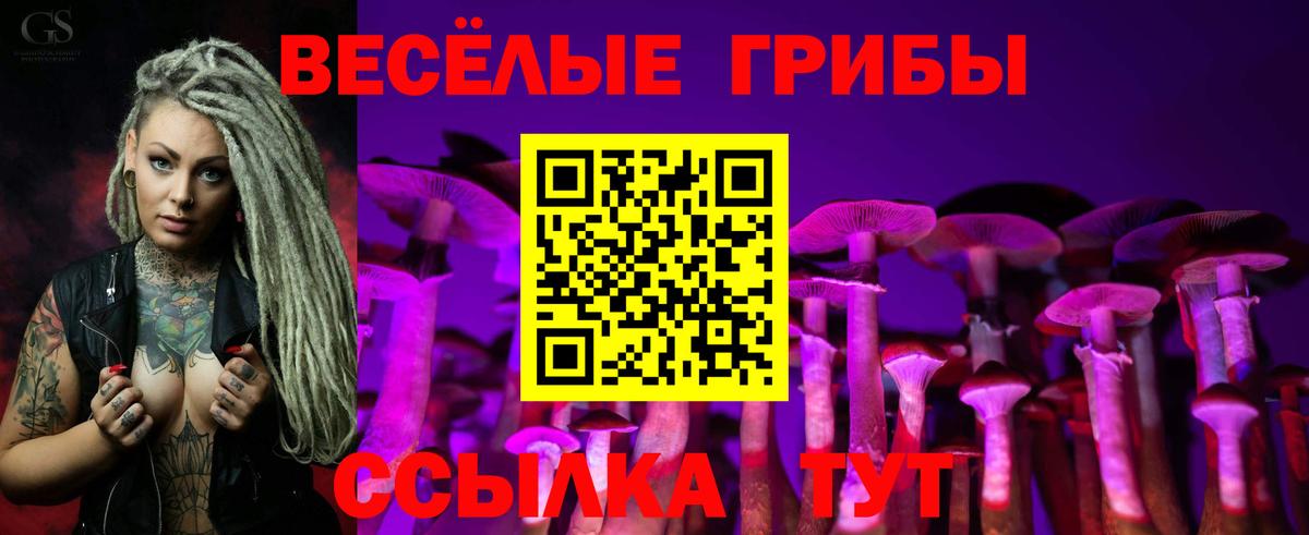 где купить наркоту  Вход с VPN  Удомля  Галлюциногенные грибы прущие грибы 